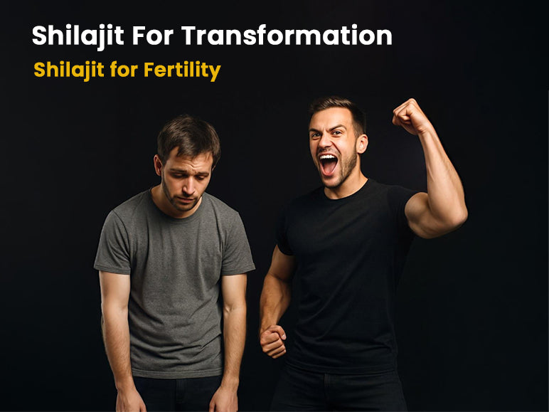 Shilajit balancing hormones for Men and Women: Shilajit for Reproductive health
