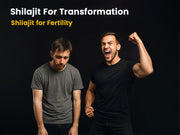 Shilajit balancing hormones for Men and Women: Shilajit for Reproductive health