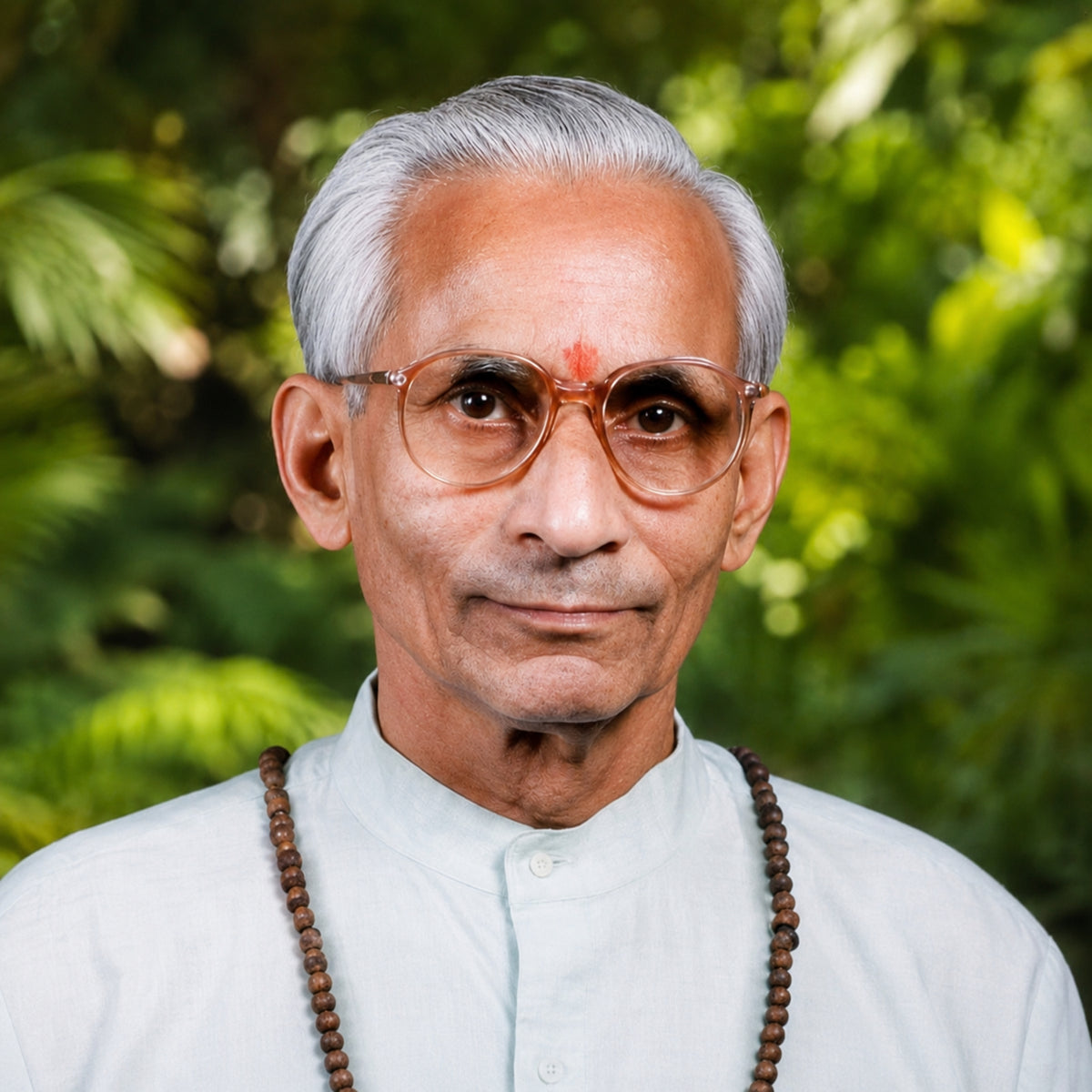 Shri Basat Swaroop Saxena
